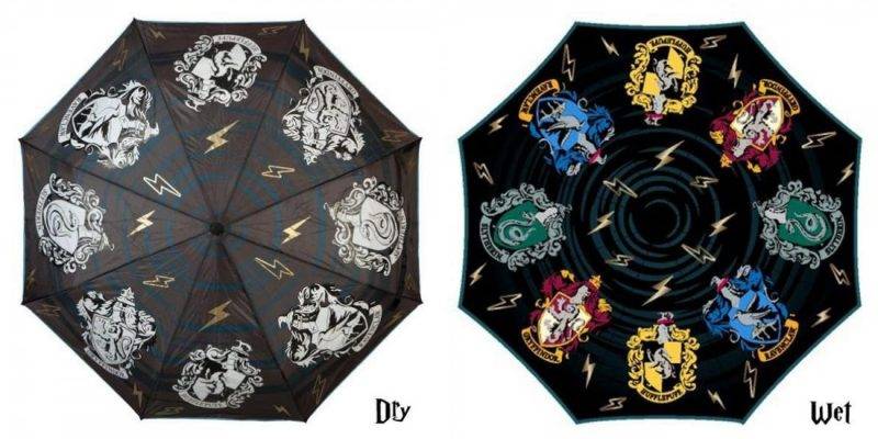 Parapluie de couleur Harry Potter